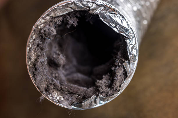 Best Dryer Vent Cleaning in Combe, LA